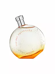 HERMÈS | Eau des Merveilles Eau de Toilette 100ml | Sin color