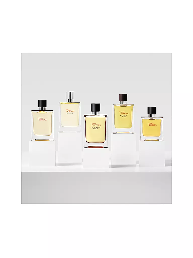 HERMÈS | Terre d'Hermès Eau de Parfum Intense Recargable 50ml | 