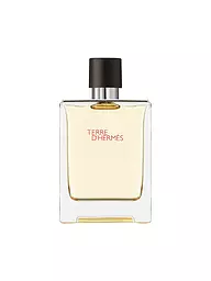 HERMÈS | Terre d'Hermès Eau de Toilette 100ml | Sin color