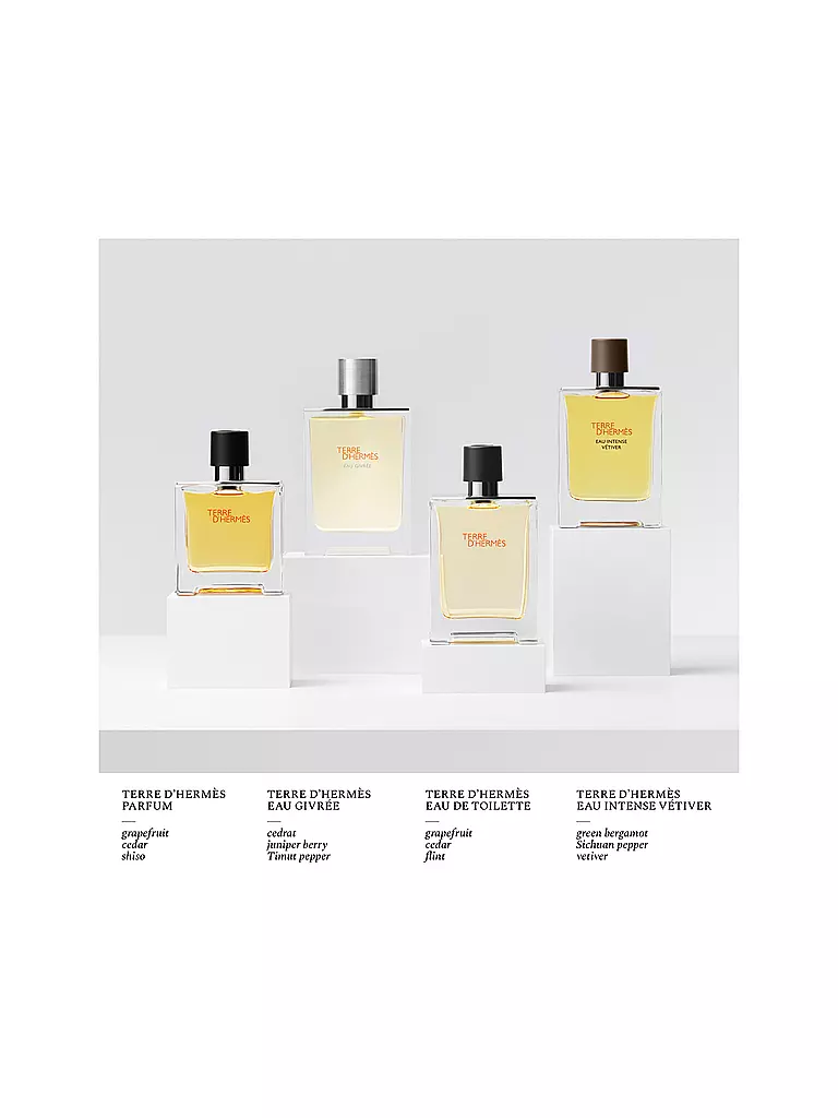 HERMÈS | Terre d'Hermès Eau Givrée Eau de Parfum Recarga 200ml | Sin color