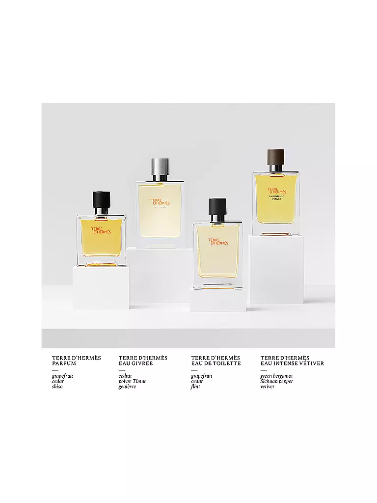 HERMÈS | Terre d'Hermès Eau Givrée Eau de Parfum Spray Recargable 100ml | 