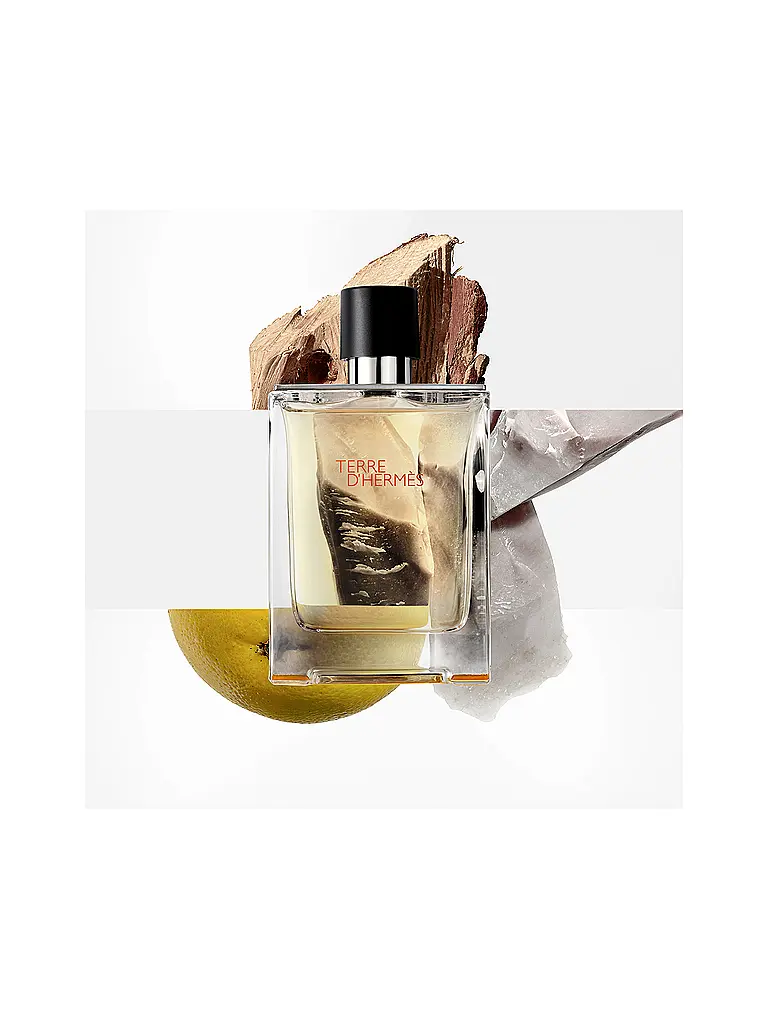 HERMÈS | Terre d'Hermès Frasco de Recarga Eau de Toilette 125ml | 