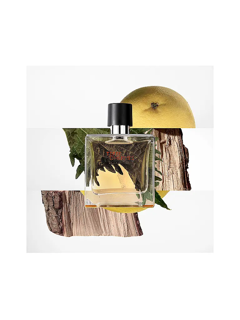 HERMÈS | Terre d'Hermès Frasco de recarga Parfum 125ml | 