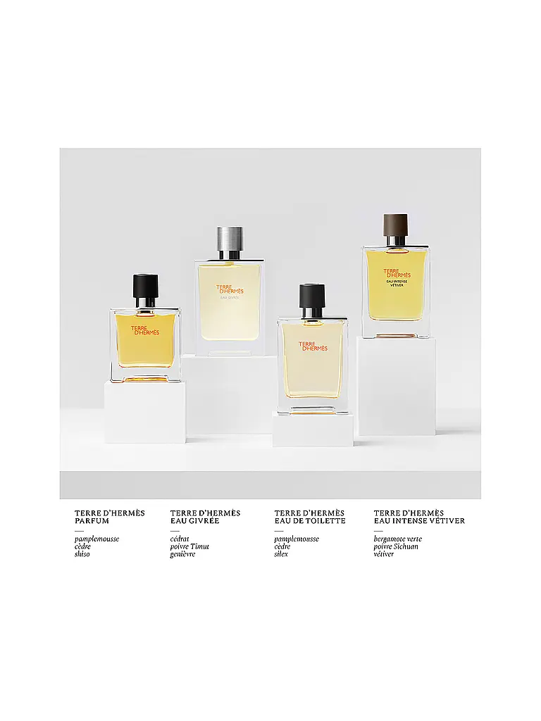 HERMÈS | Terre d'Hermès Frasco de recarga Parfum 125ml | 