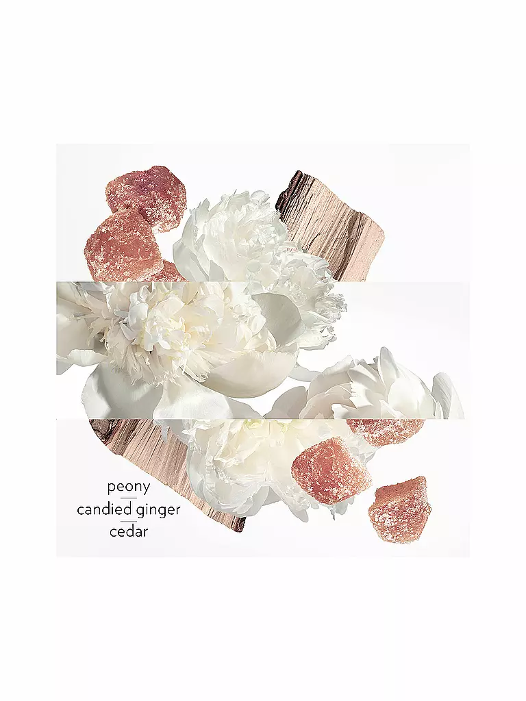 HERMÈS | Twilly Eau Ginger Eau de Parfum 30 ml | 