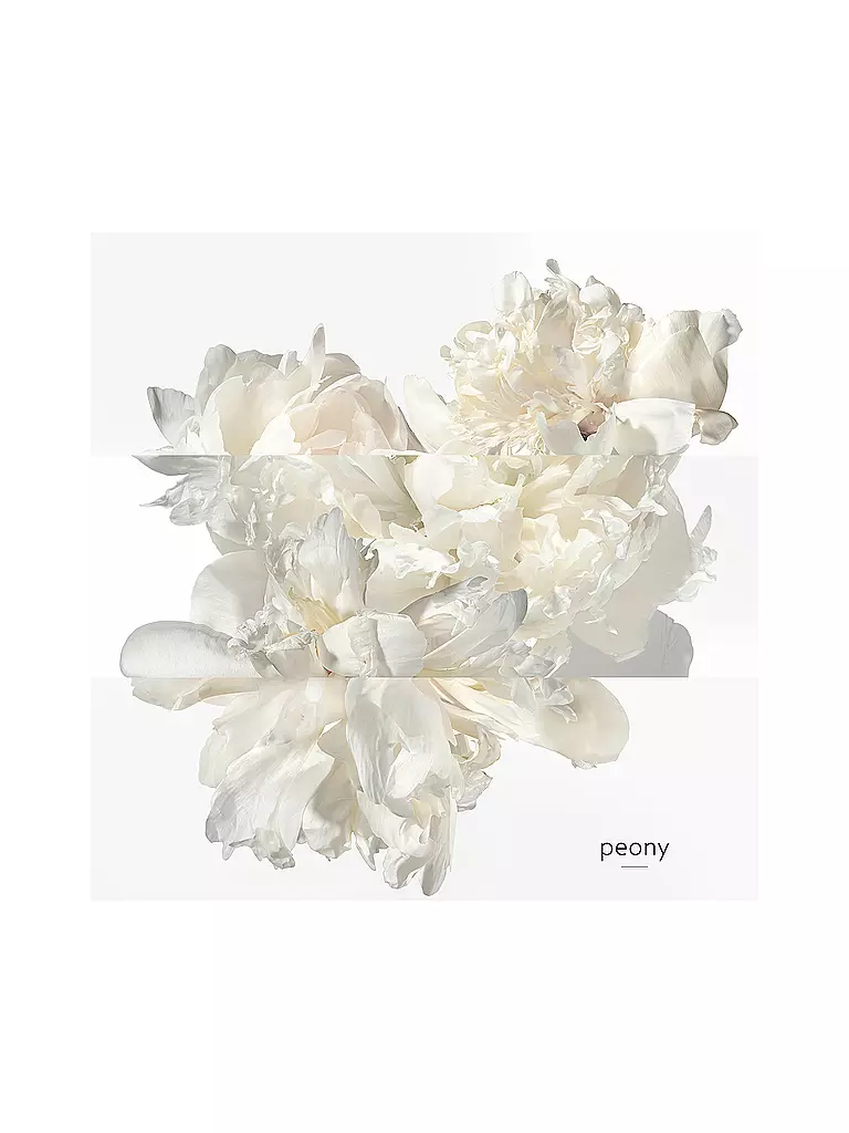 HERMÈS | Twilly Eau Ginger Eau de Parfum 30 ml | 