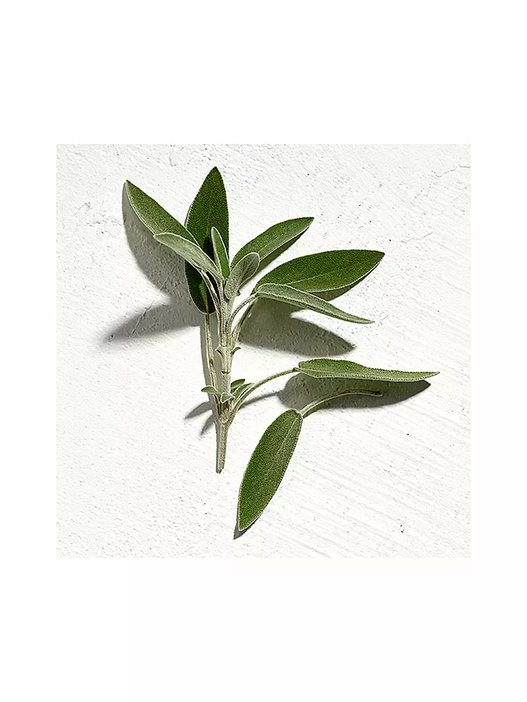 JIL SANDER | Sun Man Parfum Natural Spray 40ml | Sin color