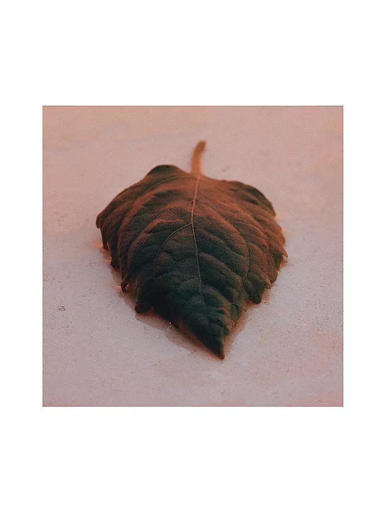 JIL SANDER | Sunset Eau de Parfum Intense 75ml | Sin color