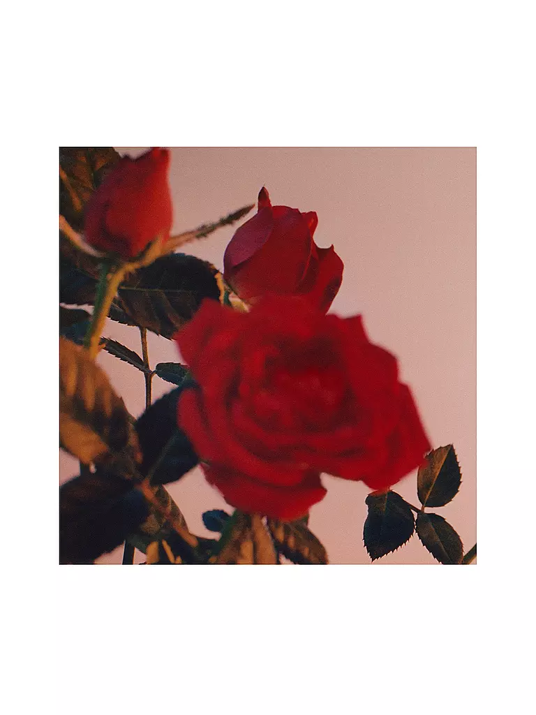 JIL SANDER | Sunset Eau de Parfum Intense 75ml | Sin color