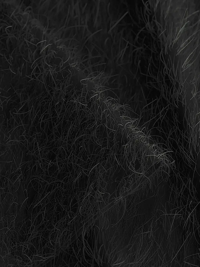 JOOP | Nombre del producto: Blusenshirt | Negro