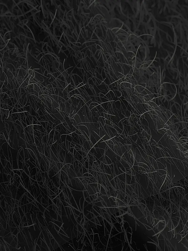 JOOP | Nombre del producto: Blusenshirt | Negro