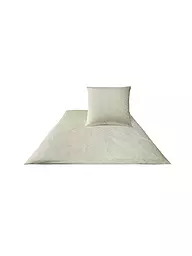 JOOP | Satin Bettwäsche Cornflower 70x90cm / 140x220cm Weiss | Crema
