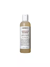KIEHL'S | Champú de Aminoácidos 250ml | Sin color