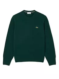 LACOSTE | Suéter | Verde oscuro