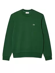 LACOSTE | Suéter | Verde
