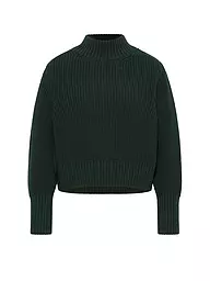 LANIUS | Jersey | Verde oscuro