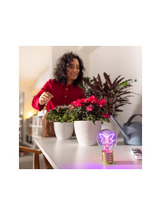 LEGAMI | Lámpara de mesa Mariposa
