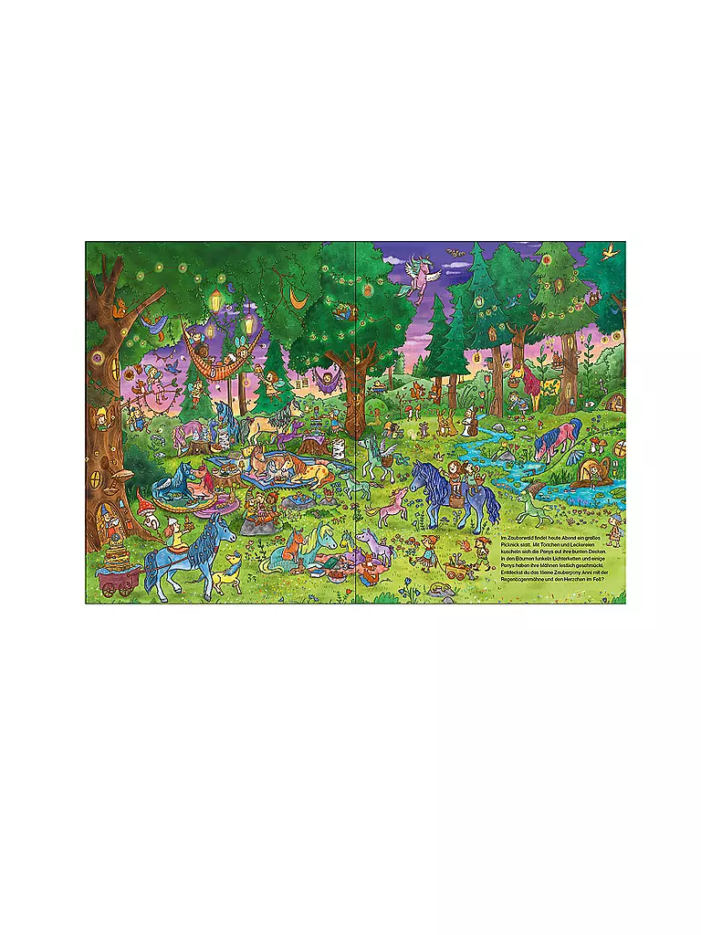 LOEWE VERLAG | Buch - Wo ist das kleine Zauberpony? | Sin color