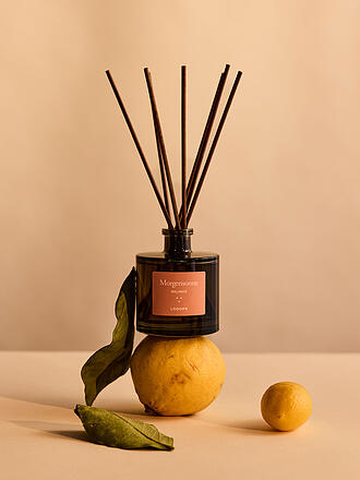 LOOOPS | Difusor con varillas 100ml Sol de la mañana
