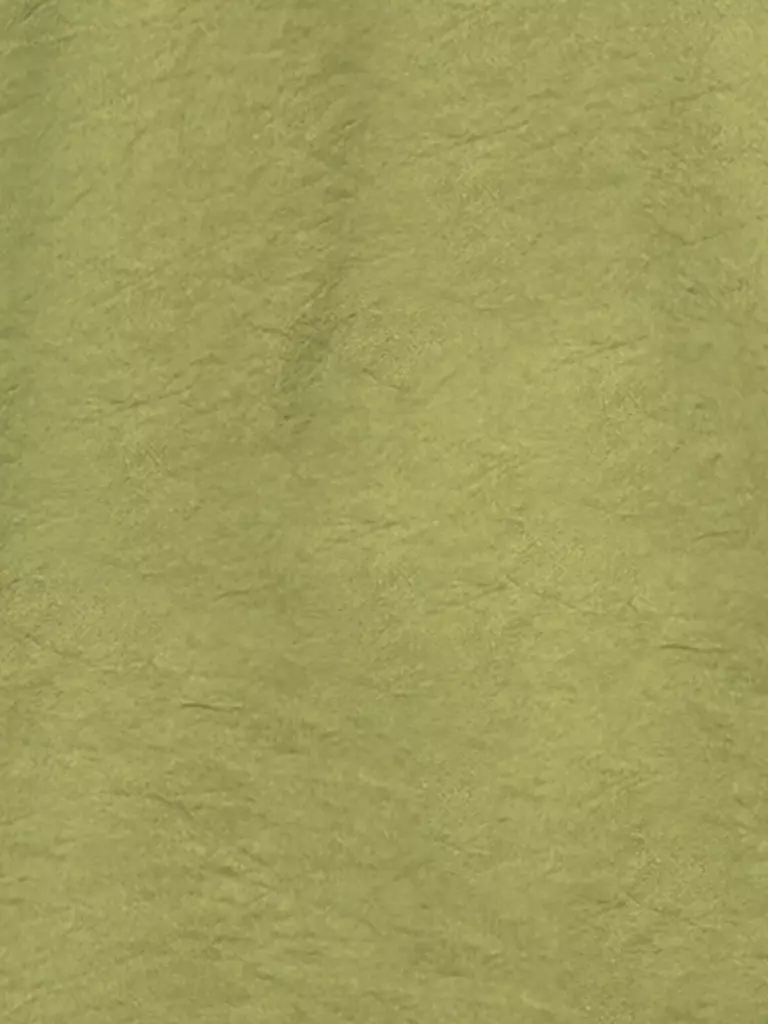 LUISA CERANO | Bluse  | Verde
