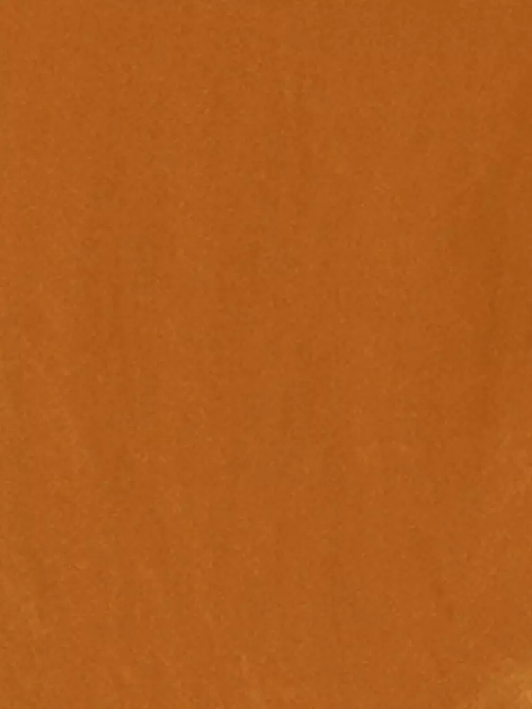 LUISA CERANO | Bluse  | Naranja