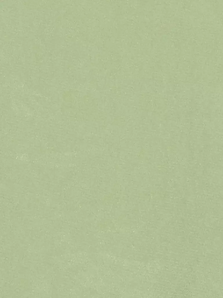 LUISA CERANO | Bluse | Verde claro