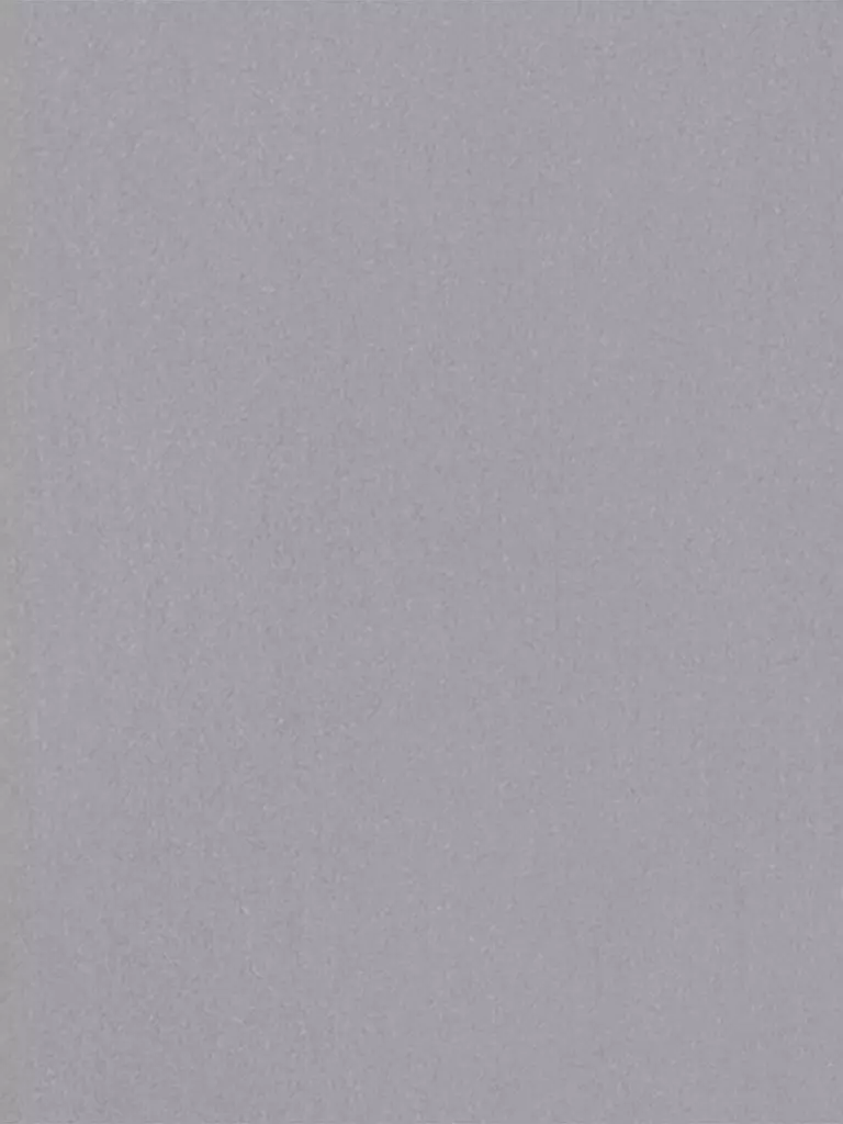 LUISA CERANO | Hemdbluse | Gris