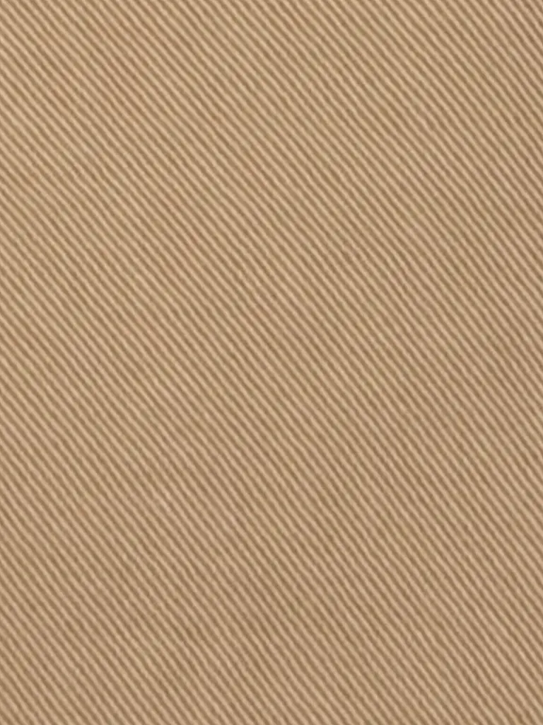 LUISA CERANO | Jeans Balloon Fit | Camel