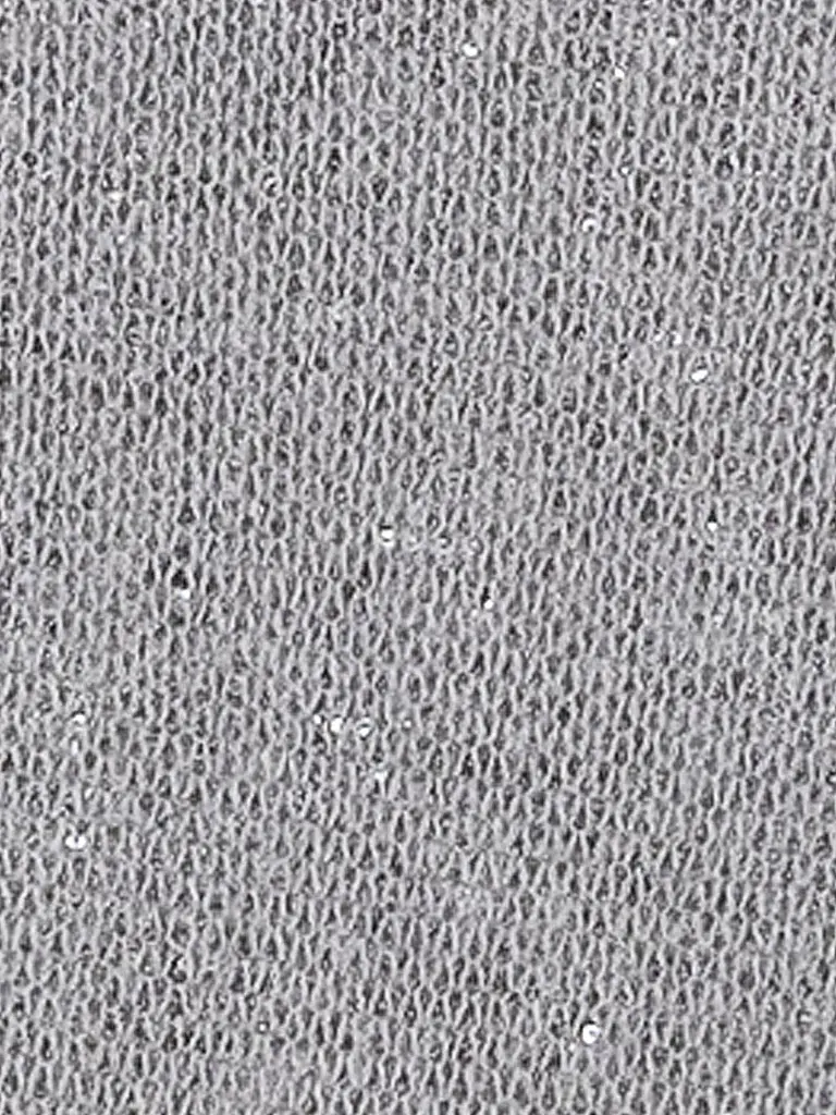 LUISA CERANO | Jersey | Plata