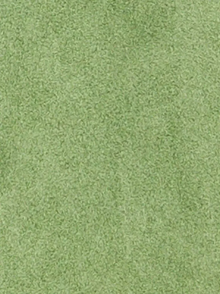 LUISA CERANO | Lederjacke | Verde claro