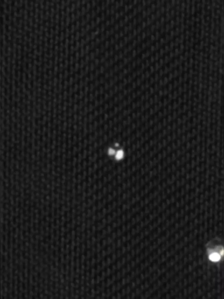 LUISA CERANO | Rollkragenshirt | Negro