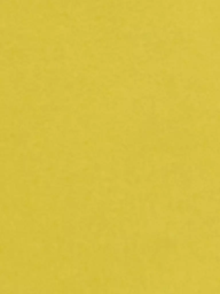 LUISA CERANO | Shorts | Amarillo