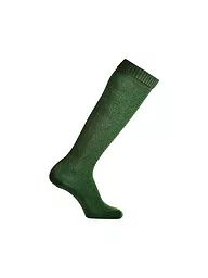 LUISE STEINER | Calcetines hasta la rodilla (largos) verdes | Verde