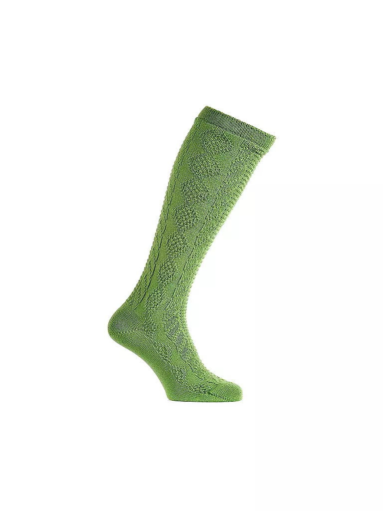 LUISE STEINER | Kniestrümpfe gruen | Verde