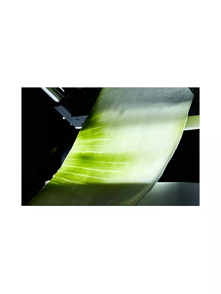 LURCH | Cortador de cintas de verduras Catto gris hierro/blanco |