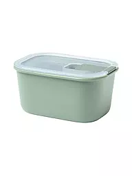 MEPAL | Recipiente hermético EASYCLIP 0,45 l Salvia Nórdica | Verde
