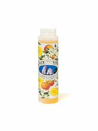 NESTI DANTE | Gel de ducha Capri 300ml | Sin color