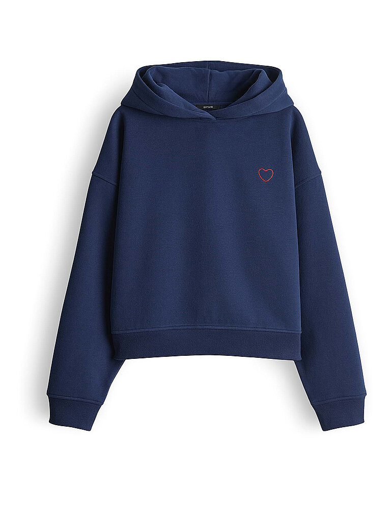Sudadera con capucha - Hoodie GALENTINE gasolina 36