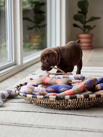 OYOY | Juguete para perros ASHI Mediano Coral/Marrón