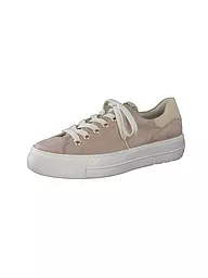 PAUL GREEN | Zapatillas | Beige