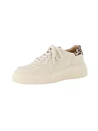 PAUL GREEN | Zapatillas | Beige