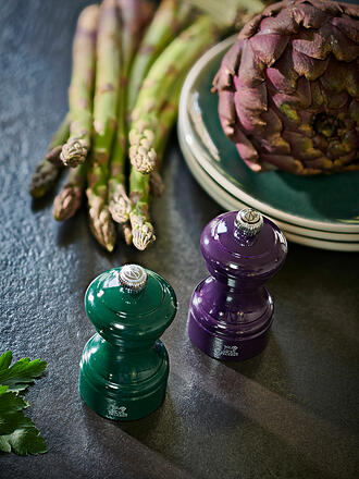 PEUGEOT | Molinillo de sal BISTRORAMA 10cm Haya/Verde bosque