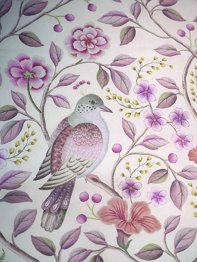 PIP STUDIO | Percal Bettwäsche GARDEN OF DOVE 70x90cm/140x200cm Blanco Roto | 