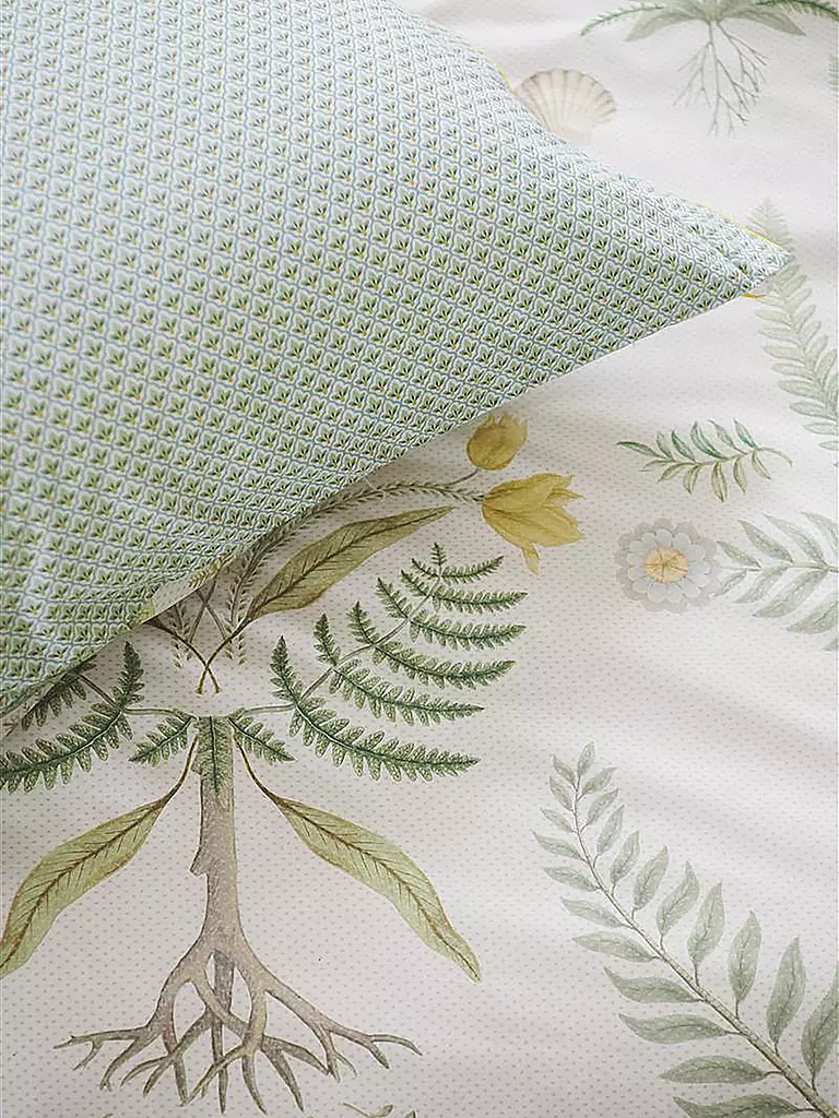 PIP STUDIO | Ropa de cama de percal BAMBOLEO 70x90cm/140x200cm Blanco hueso | Blanco