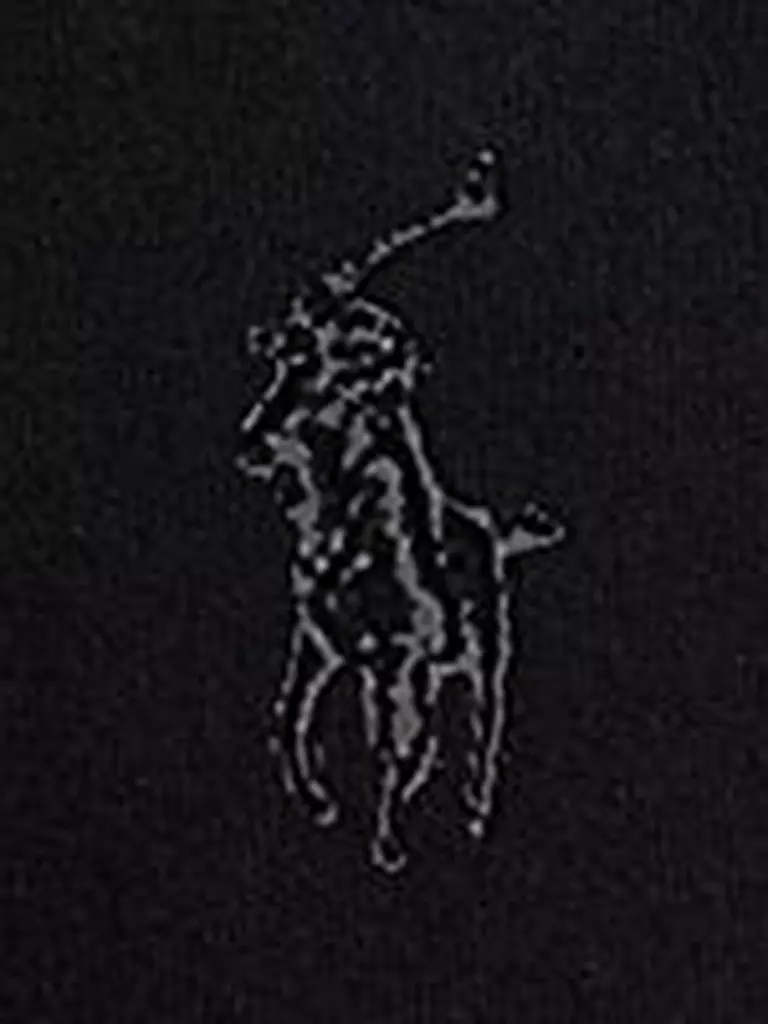 POLO RALPH LAUREN | Jersey Troyer de corte regular | 