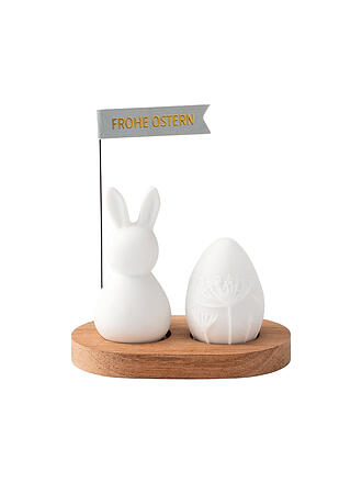 RAEDER | Saludos de conejo Feliz Pascua