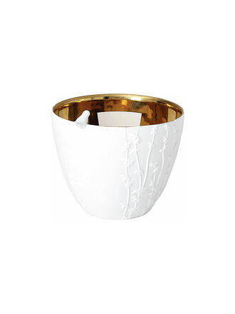 RAEDER | Luz de poesía pequeña Visita de pájaros