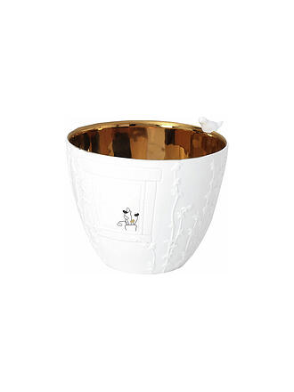 RAEDER | Luz de poesía pequeña Visita de pájaros