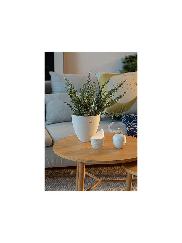 RAEDER | Candelabro navideño de luz de té, luz de luna y estrellas | Blanco