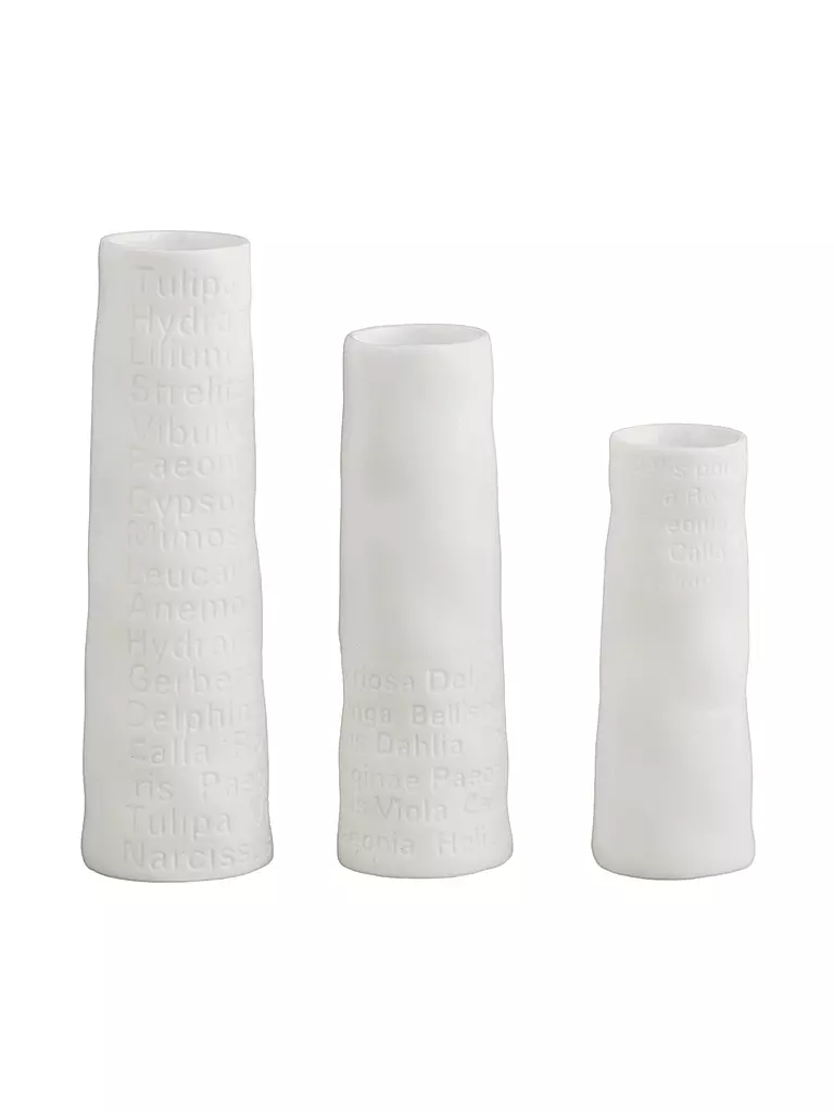 RAEDER | Minijuego de 3 jarrones de 9,5 cm | Blanco